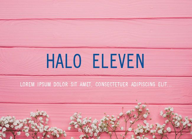 Halo Eleven example